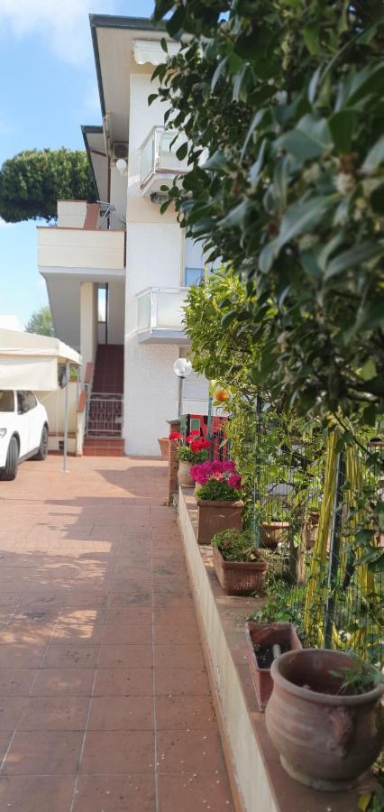 Happy King Apartment Lido di Camaiore Exterior photo